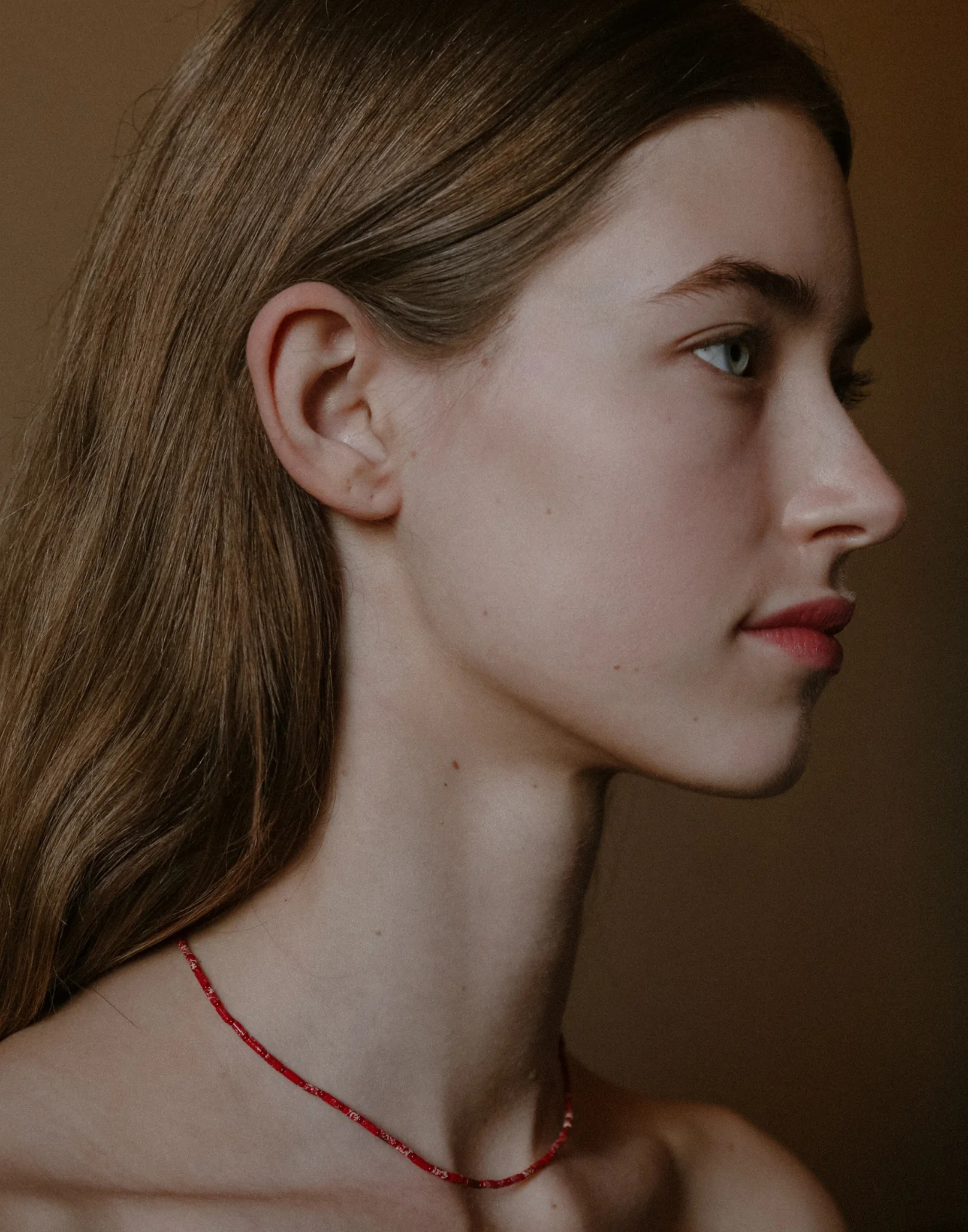 Red & Silver Francis Necklace