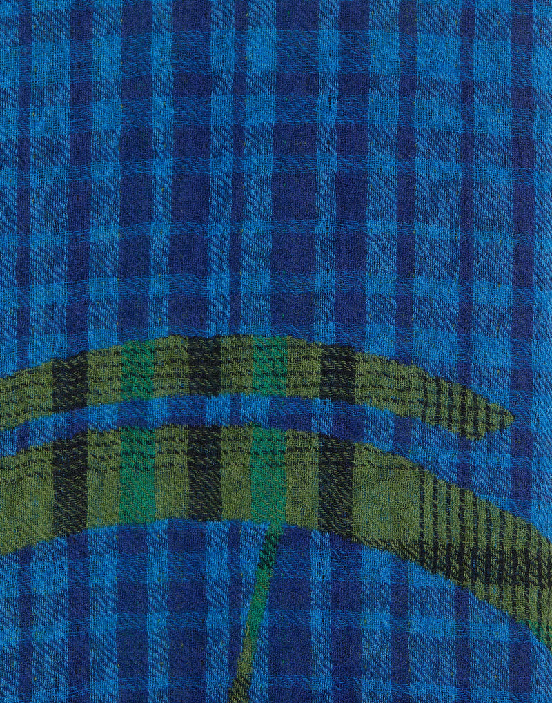 Green & Blue Wool Jacquard Poulidor Scarf