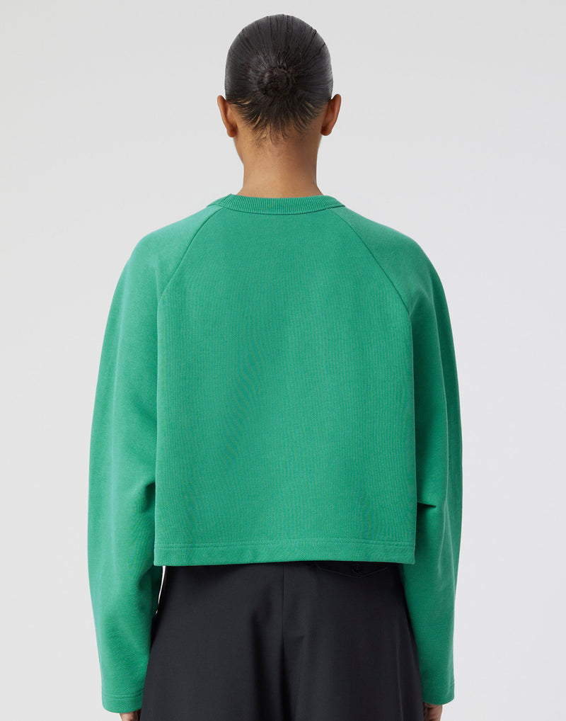 Green Cotton Cropped Sweater
