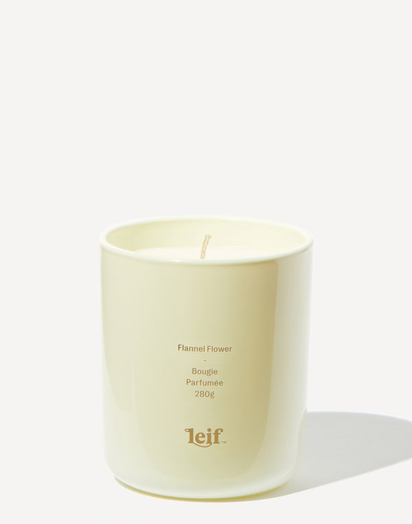 leif-flannel-flower-candle-280g.jpeg