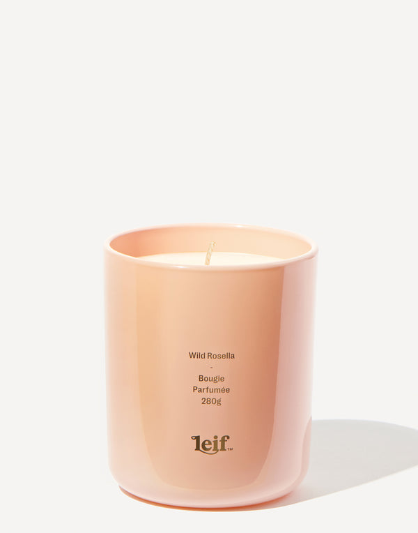 leif-wild-rosella-candle-280g.jpeg