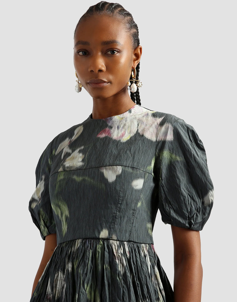 Evelyn Floral Print Chine Taffeta Dress